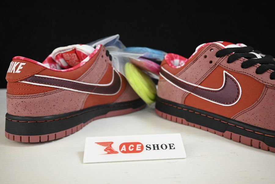 nike dunk sb low red lobster 313170-661